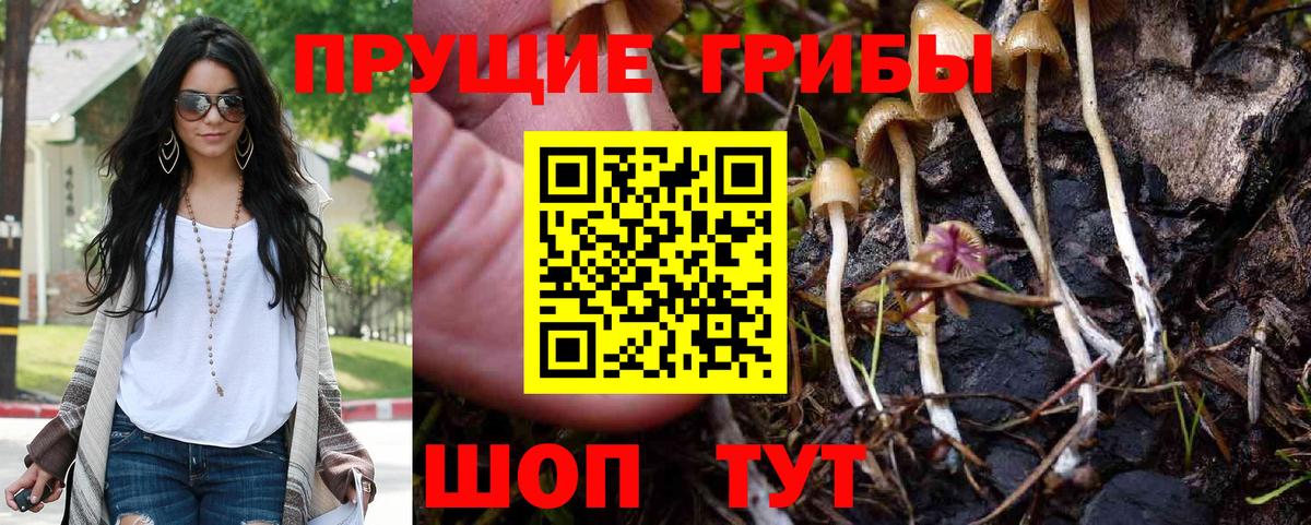 Галлюциногенные грибы ЛСД Костомукша