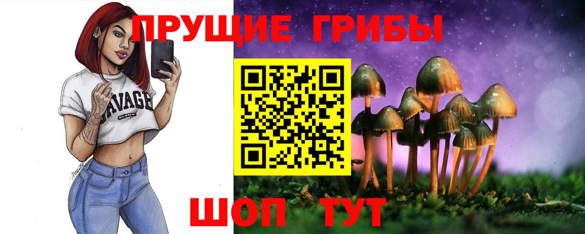 Галлюциногенные грибы мицелий  Вход с VPN  Галлюциногенные грибы прущие грибы  Костомукша 